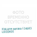 LSI00405