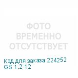 GS 1.2-12