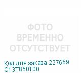 C13T850100