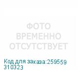310323