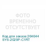 SYS-2029P-C1RT