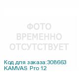 KAMVAS Pro 12