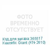 Keenetic Giant (KN-2610)
