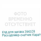 Расходомер-счетчик Карат-520-32-4-Р с БП