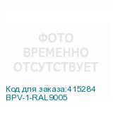 BPV-1-RAL9005