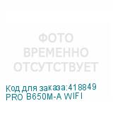 PRO B650M-A WIFI