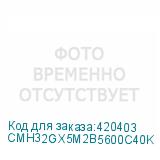 CMH32GX5M2B5600C40K