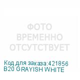 B20 GRAYISH WHITE