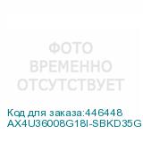 AX4U36008G18I-SBKD35G