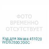 WDS250G2G0C