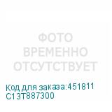 C13T887300