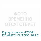 FO-AMTC-OUT-503-16-PE