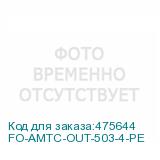 FO-AMTC-OUT-503-4-PE