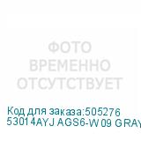 53014AYJ AGS6-W09 GRAY