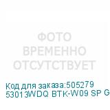 53013WDQ BTK-W09 SP GRAY