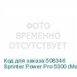 Sprinter Power Pro 5300 (Макс. 24 (40 - опция) голов, CMYK+W+Лак; Lc/Lm - опция, гибридный, ширина печати до 5300 мм, высота носителя до 25 мм, линейный магнитный двигатель, два LED-блока с системой охлаждения и регулировки мощности излучения, конвейерный вакуумный стол с 8 зонами, система Anticrush