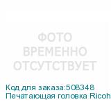 Печатающая головка Ricoh GEN6 (комплект)