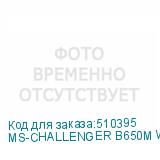 MS-CHALLENGER B650M WIFI