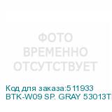 BTK-W09 SP. GRAY 53013TLV