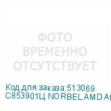 C853901Ц NORBEL AMD Athlon 3000G / 8GB / SSD 256GB / DOS