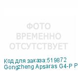 Gongzheng Apsaras G4-P PLUS (CMYK+4 доп. цвета, ширина печати 2500 мм, четыре головки i3200, скорость печати до 90 кв.м/час, профессиональная система размотки/намотки материала с сушкой, РИП neoStampa). Для закрепления пигментных чернил требуется каландровый термопресс. Для закрепления сублимационны