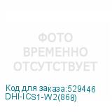 DHI-ICS1-W2(868)