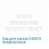 R3MS0256G8