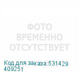 409251