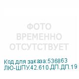 ЛЮ-ШПУ.42.610.ДП.ДП.19