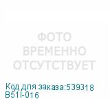 B51I-016