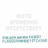 FLSSD256M80E15TCX5SE