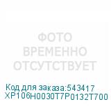 XP106H0030T7P0132T700
