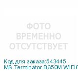 MS-Terminator B650M WIFI6