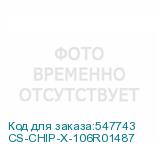 CS-CHIP-X-106R01487