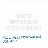 B51I-012