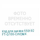 FT-Q100-CWDM4