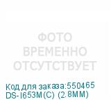 DS-I653M(C) (2.8MM)