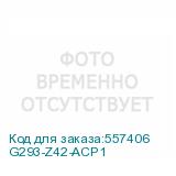 G293-Z42-ACP1