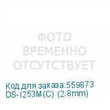 DS-I253M(C) (2.8mm)