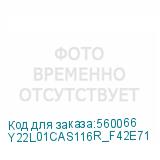 Y22L01CAS116R_F42E71