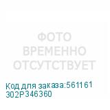 302P346360