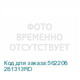 281313RD