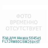 FL128M80CSM259X5T