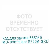 MS-Terminator B760M GKD5 DARK