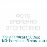 MS-Terminator B760M GKD5 ICE