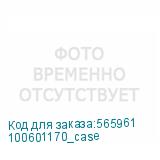 100601170_case