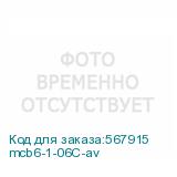 mcb6-1-06C-av