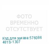 481S-1307