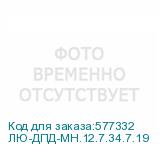 ЛЮ-ДПД-МН.12.7.34.7.19