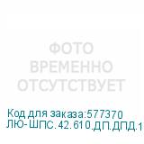 ЛЮ-ШПС.42.610.ДП.ДПД.19